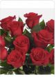 Mazzo di rose 